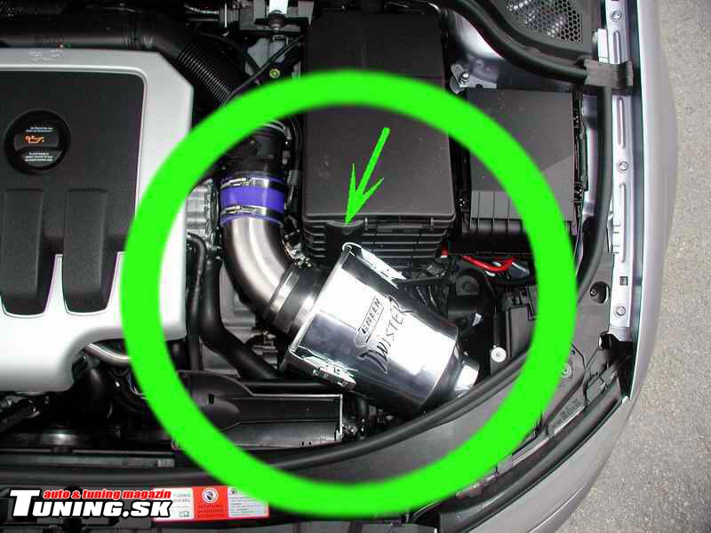 green_sacie_kity_01.jpg