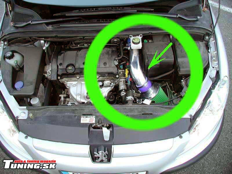 green_sacie_kity_03.jpg
