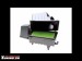 green_serial_2.jpg